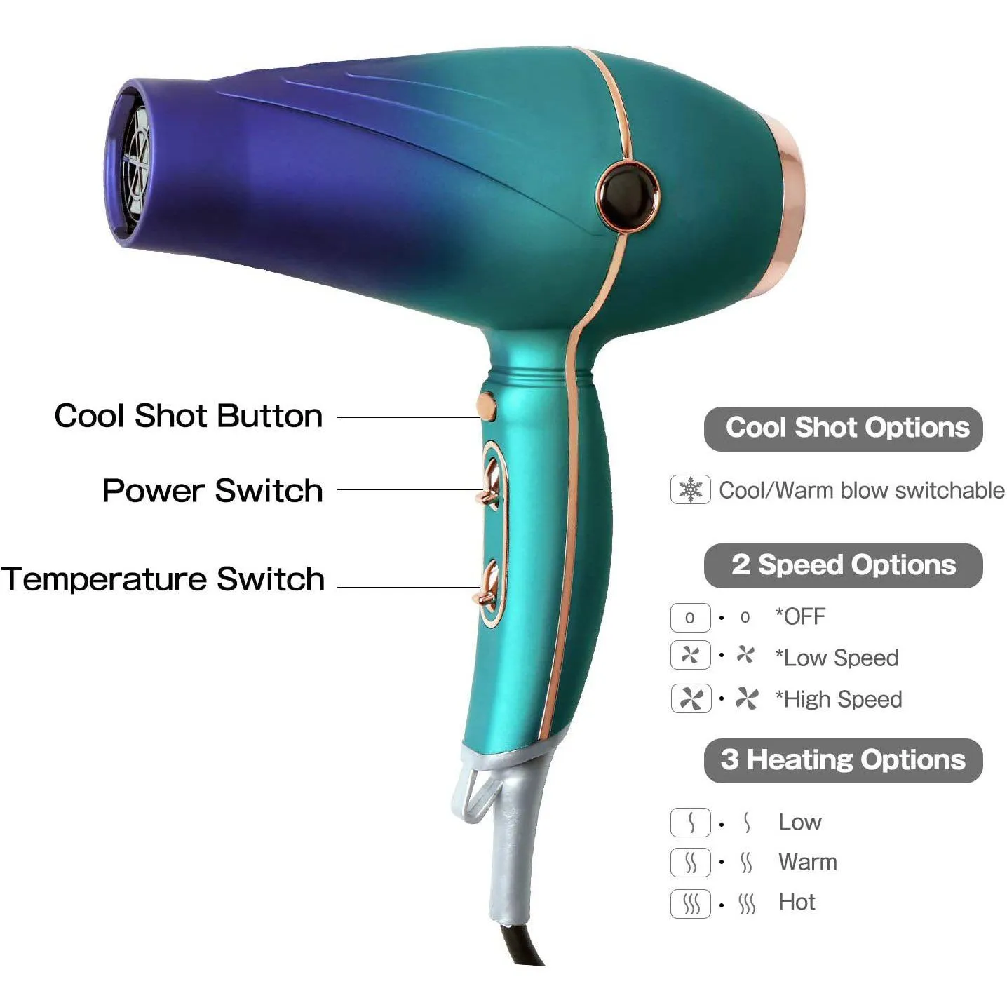 Professional Salon Hair Dryer 2300W